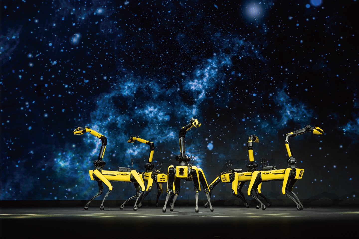 Автомобілі Hyundai м. Мукачево | Купити новий Хюндай | Захід Авто-М - фото 12