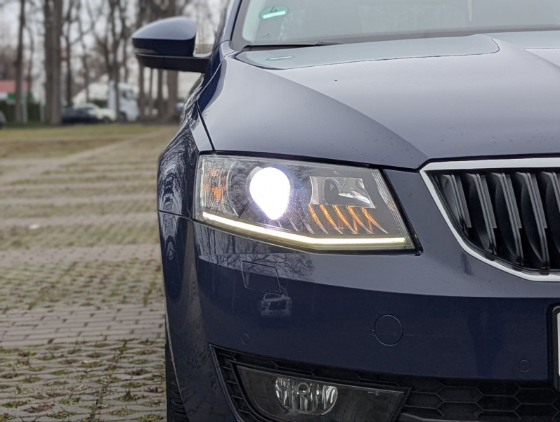 Автомобілі Hyundai м. Мукачево | Купити новий Хюндай | Захід Авто-М - фото 13